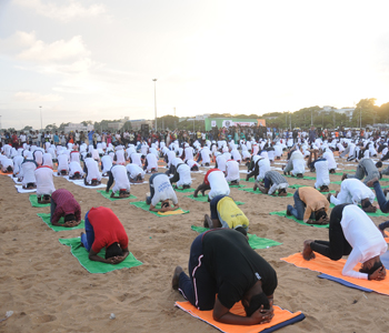 recent-project-img-8