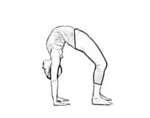 Scholars Paper Presentation