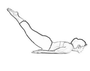 Scholars Paper Presentation