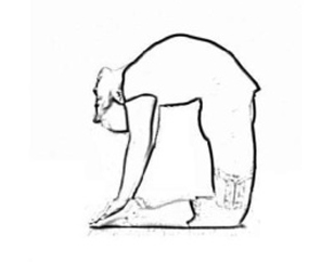 Scholars Paper Presentation