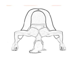 Scholars Paper Presentation