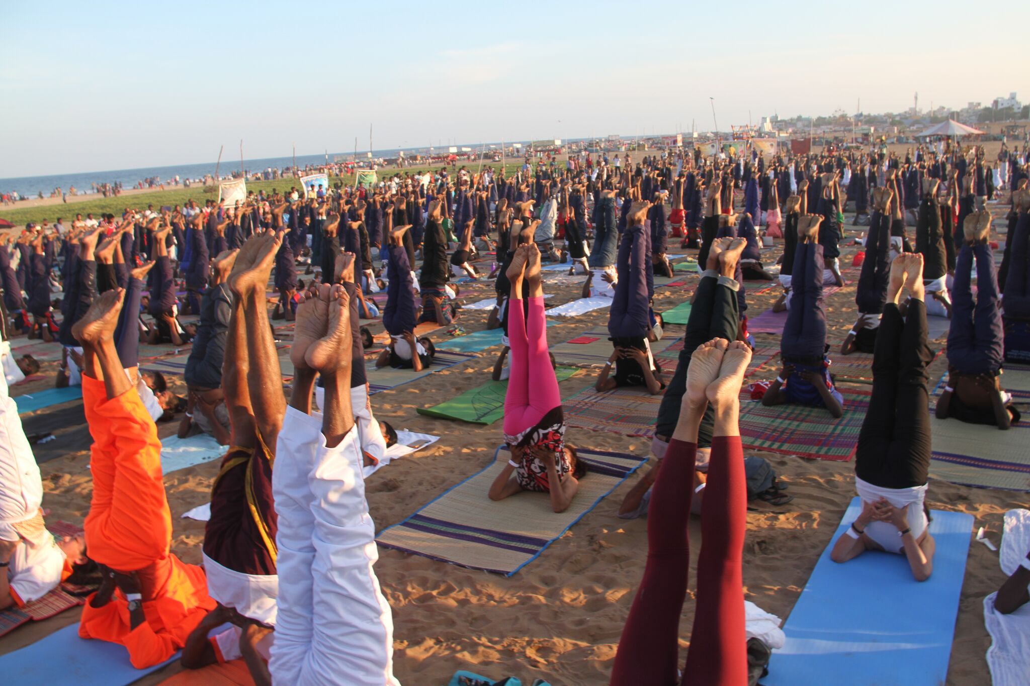 yoga world festival & GUINNESS WORLD RECORD ATTEMPT